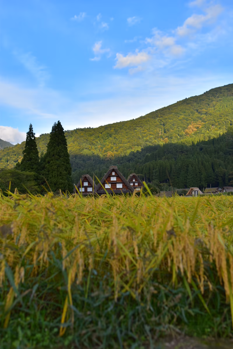 投稿写真：白川郷