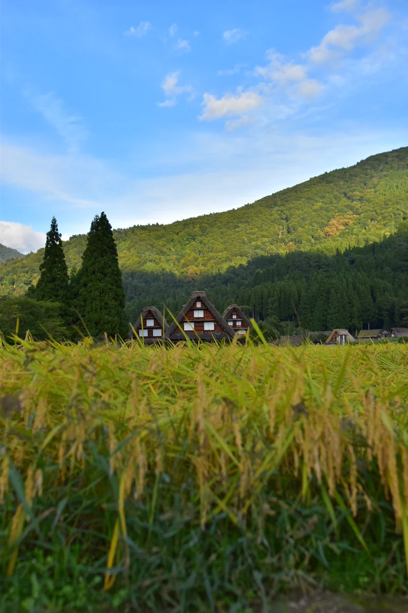 投稿写真：白川郷