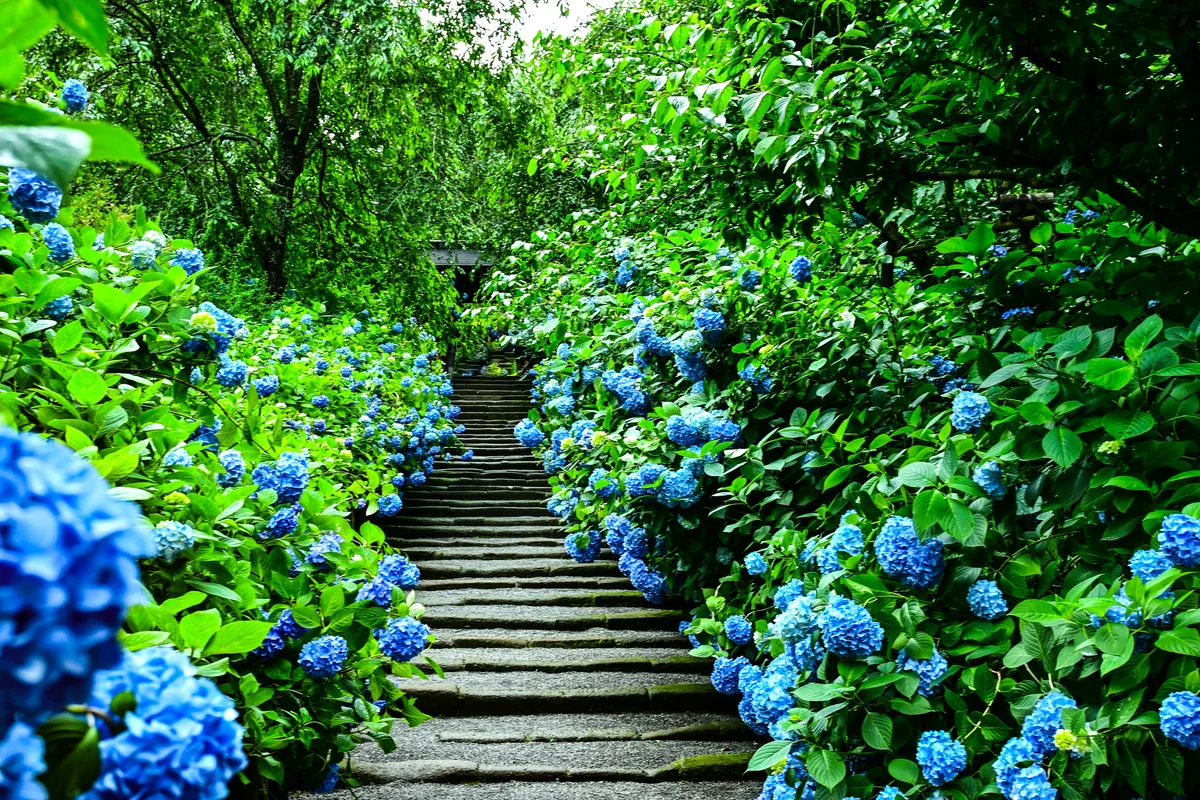 Hiromi Sakataさんの投稿写真