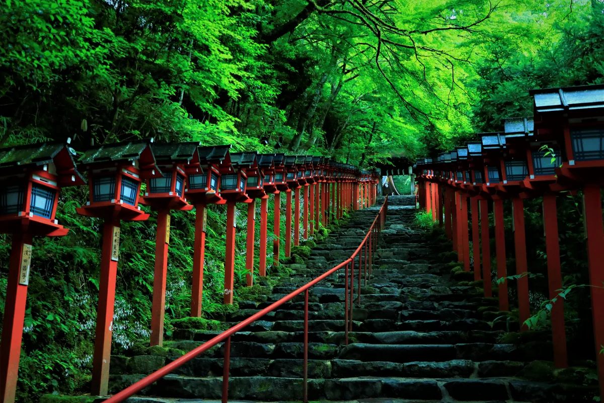投稿写真：初夏の貴船神社青もみじ