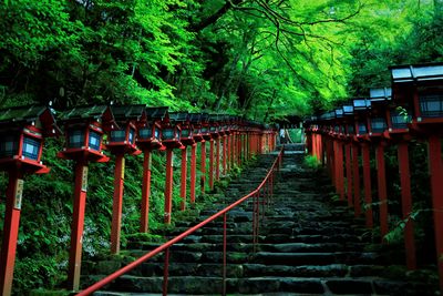  | 絶景事典