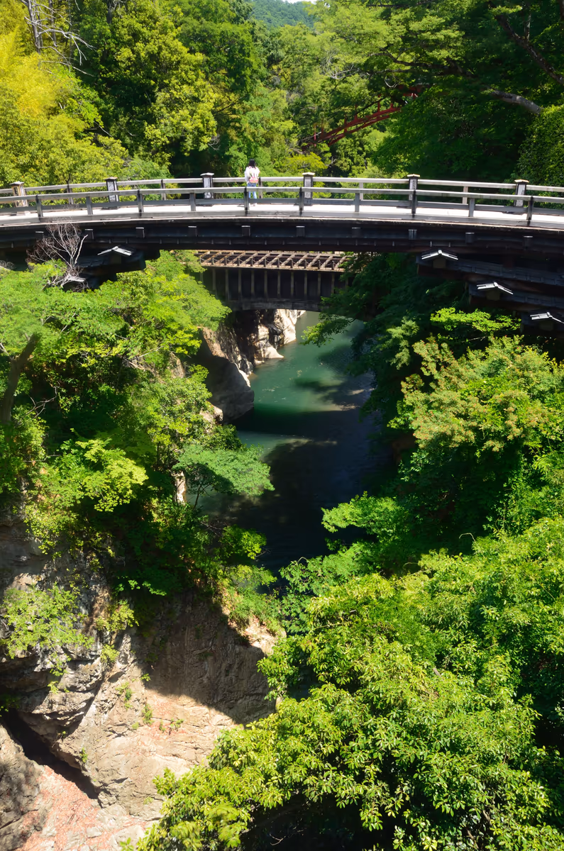 投稿写真：新緑の中の猿橋