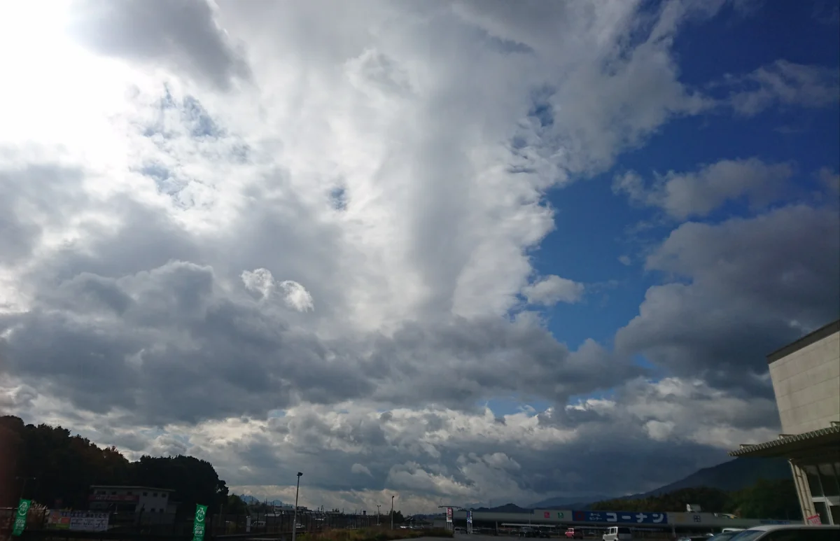 投稿写真：雨上がり