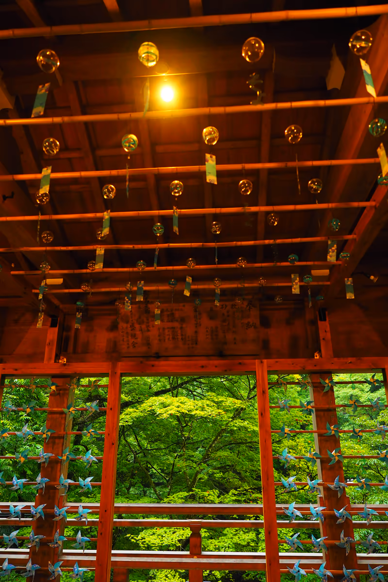 投稿写真：貴船神社　夏の風景