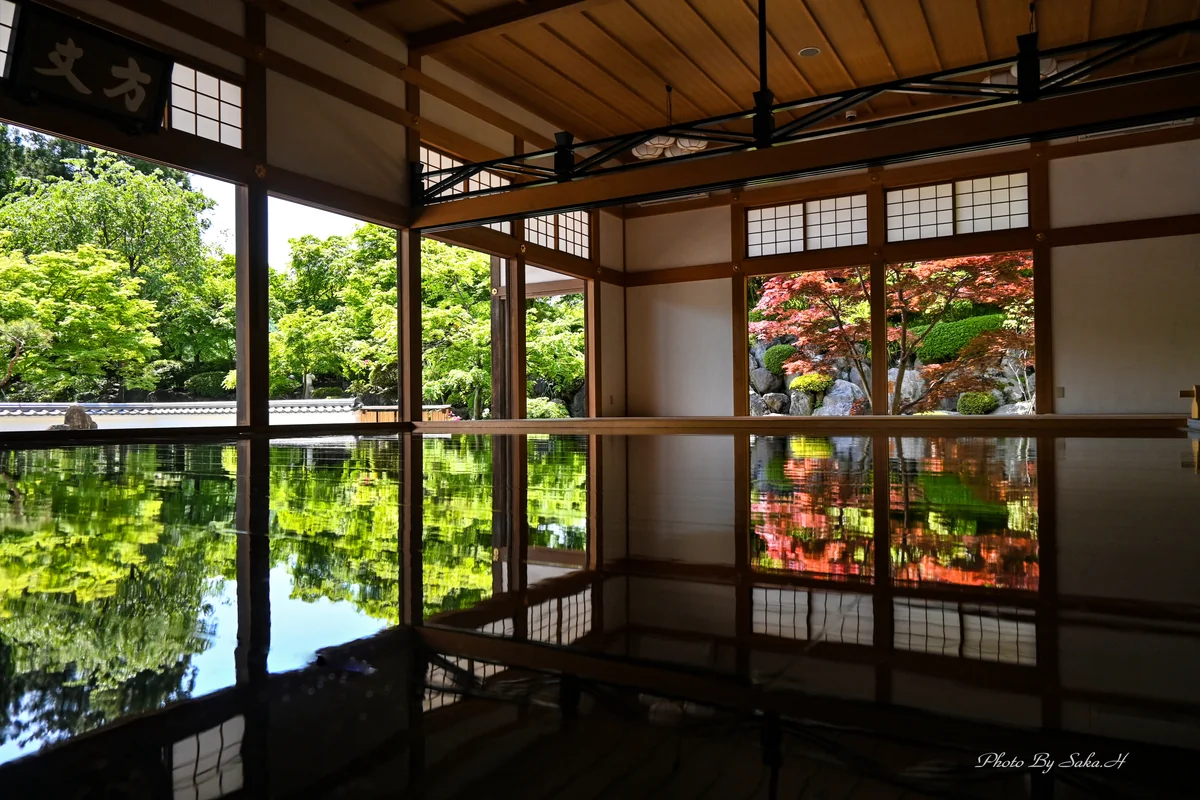 投稿写真：床もみじ