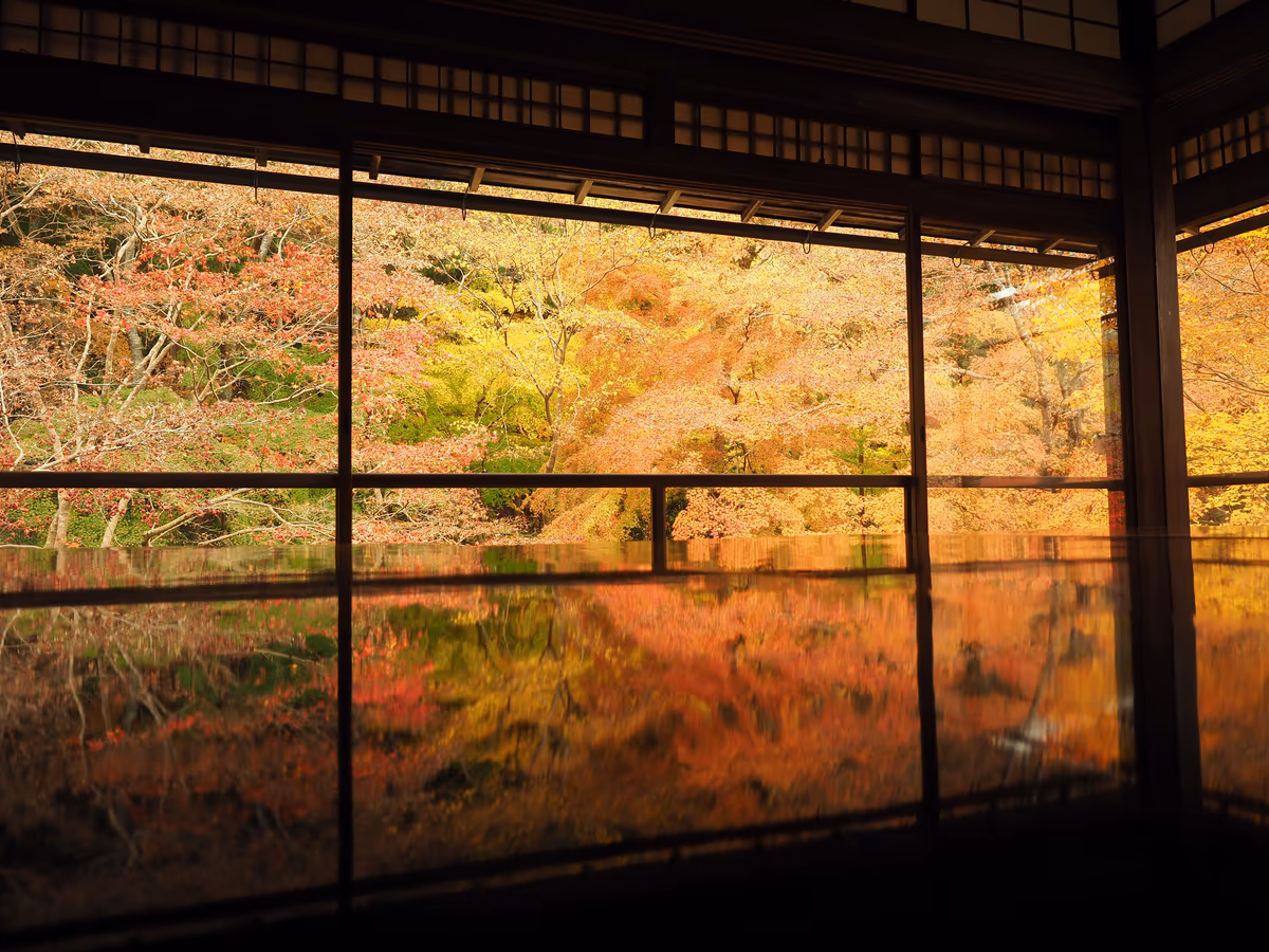 投稿写真：瑠璃光院　紅葉