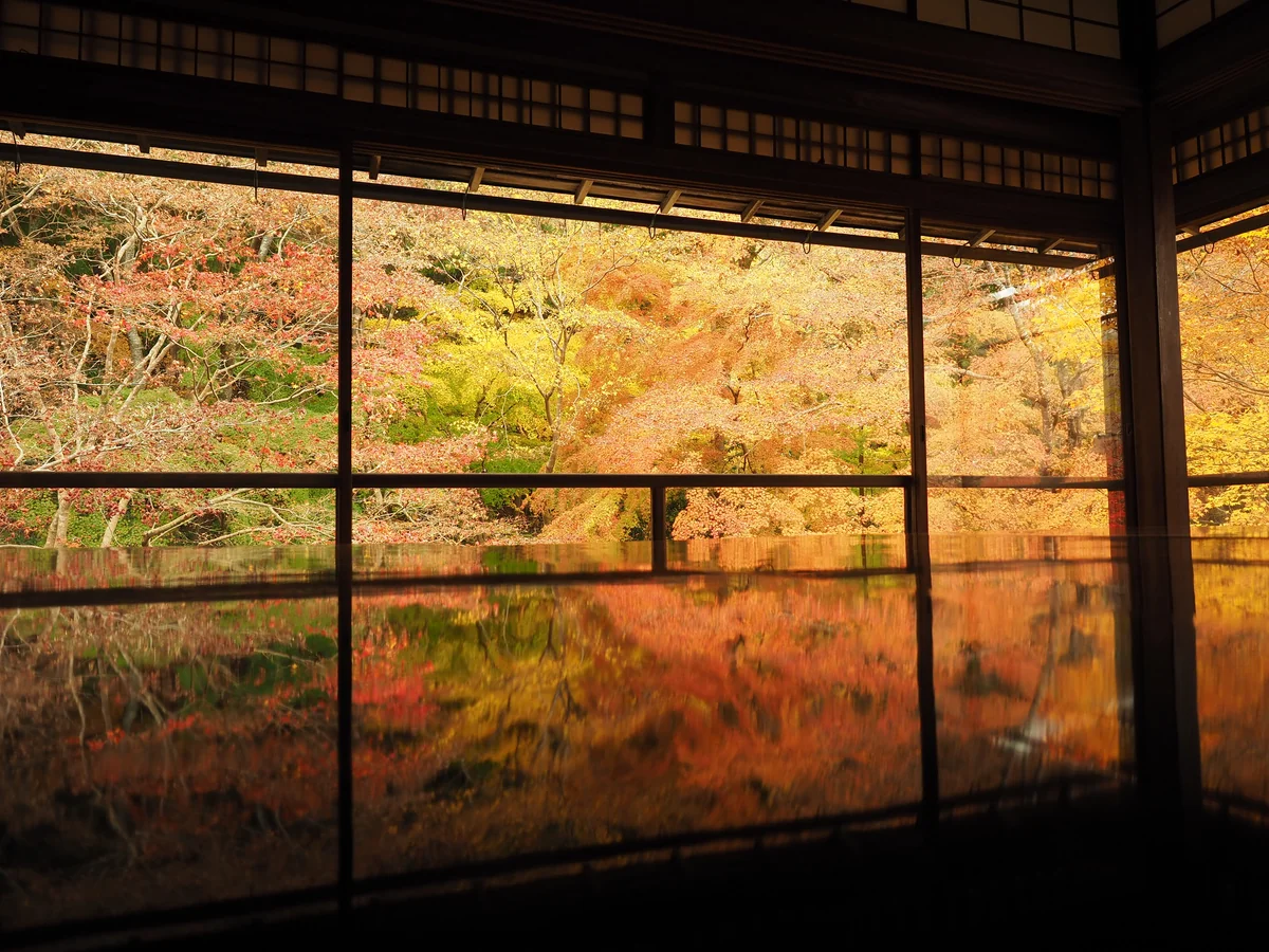 投稿写真：瑠璃光院　紅葉