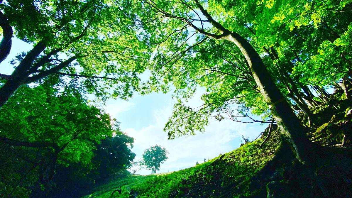 K Satine Jpさんの投稿写真