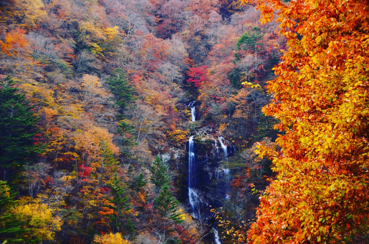 投稿写真：秋の蛇王の滝