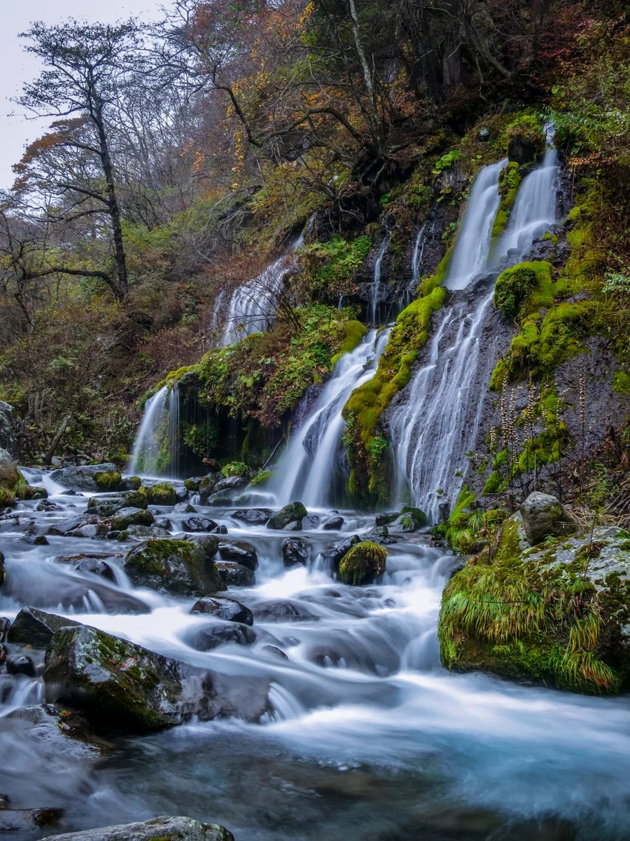 投稿写真：秋の吐竜の滝と渓流
