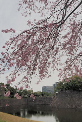  | 絶景事典