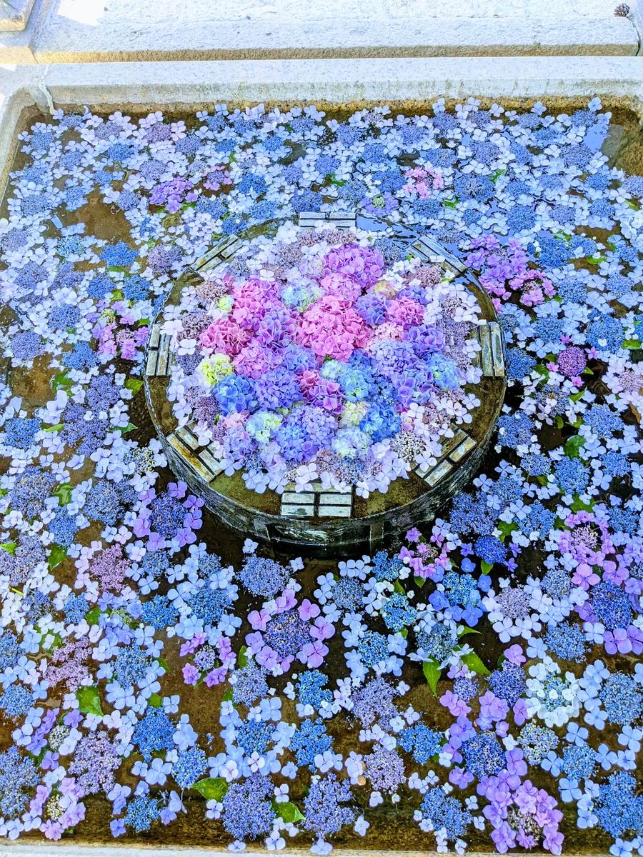 投稿写真：長濱八幡宮