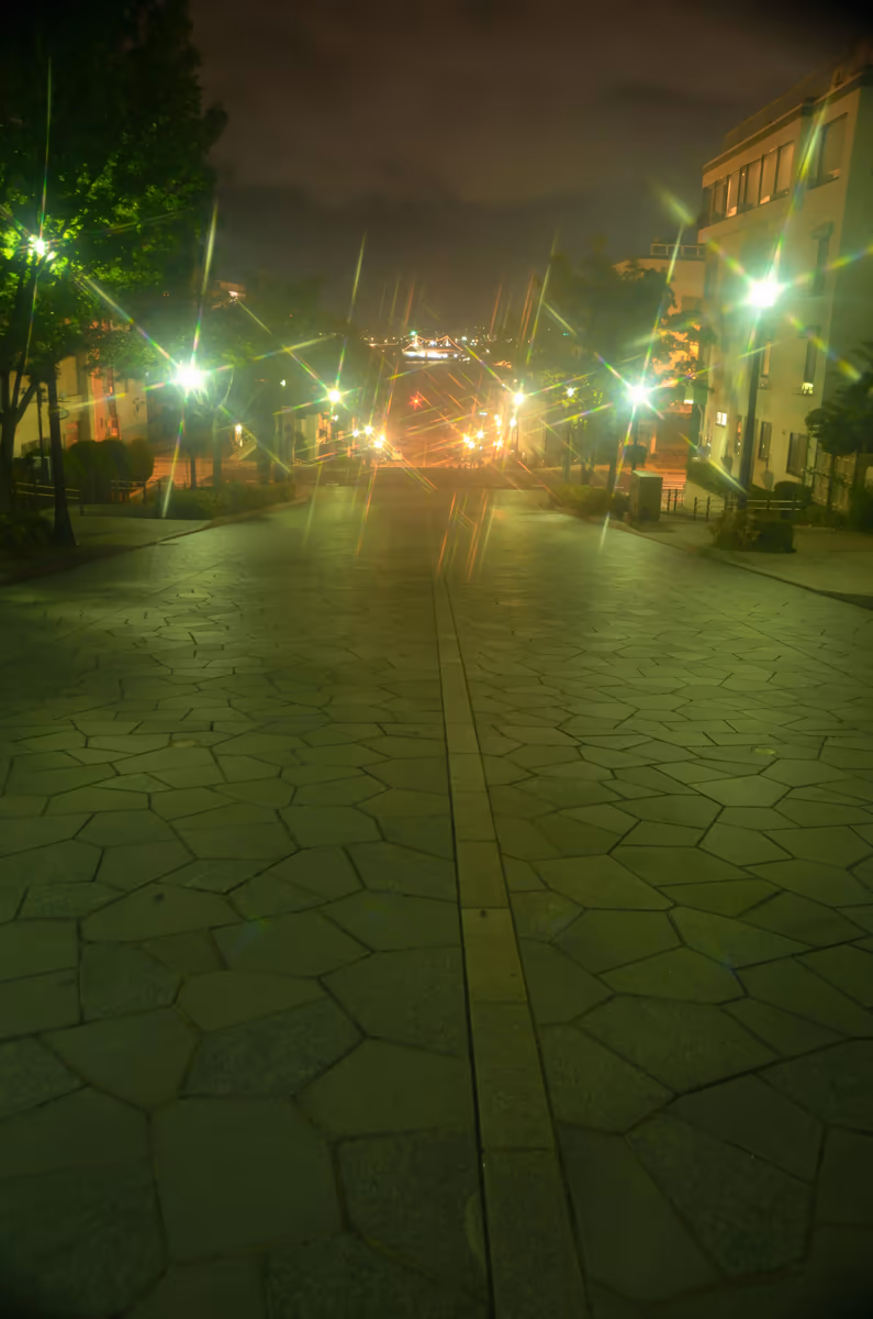 投稿写真：八幡坂夜景