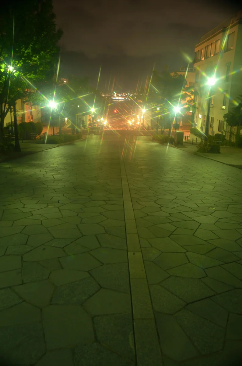 投稿写真：八幡坂夜景