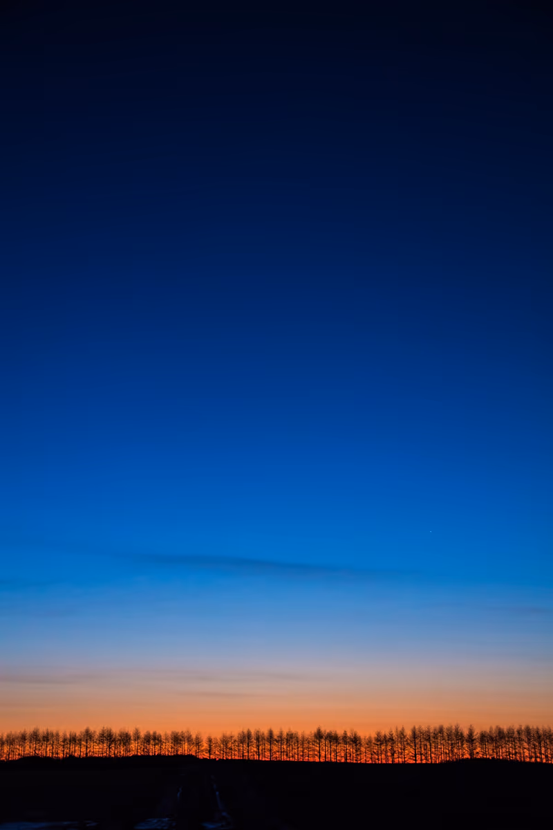 投稿写真：朝の丘