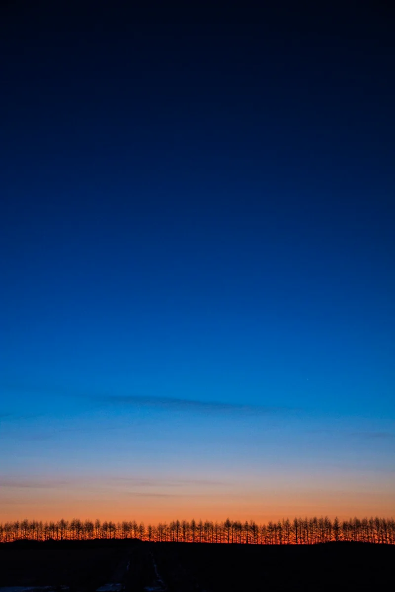 投稿写真：朝の丘