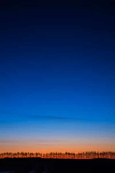 投稿：朝の丘