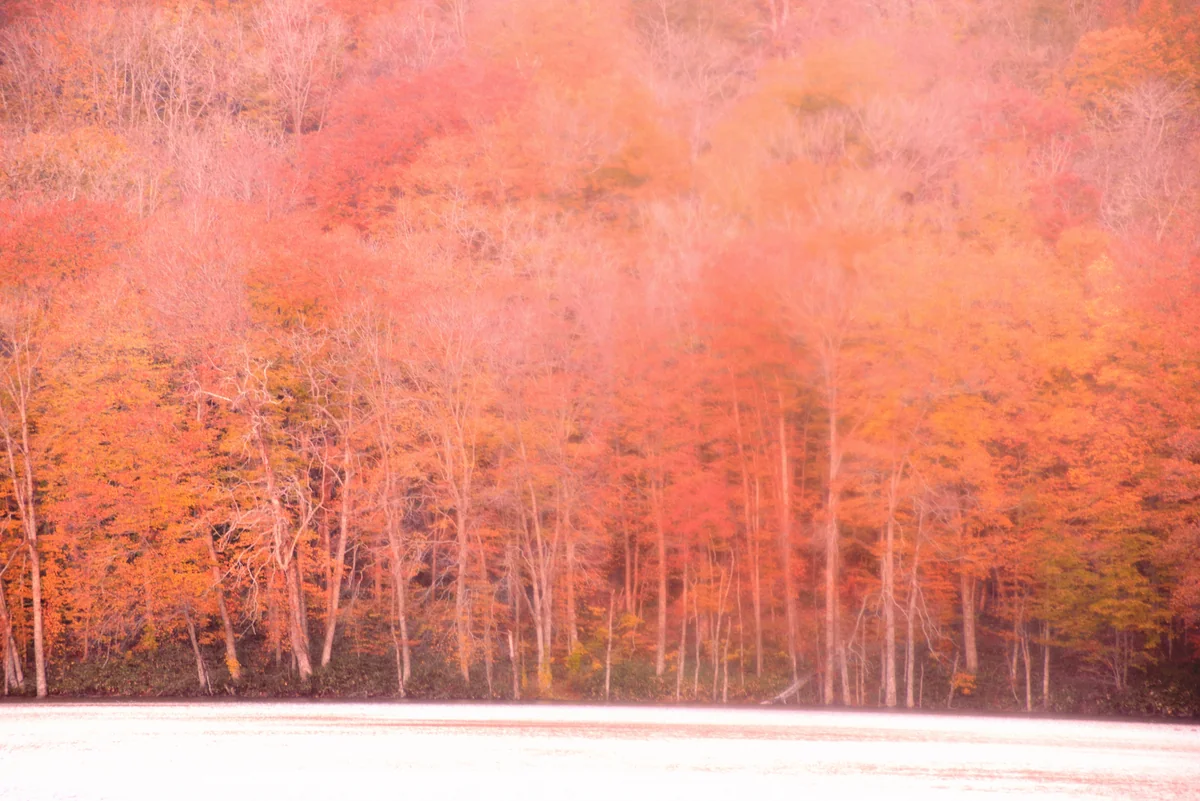 投稿写真：赤く輝く