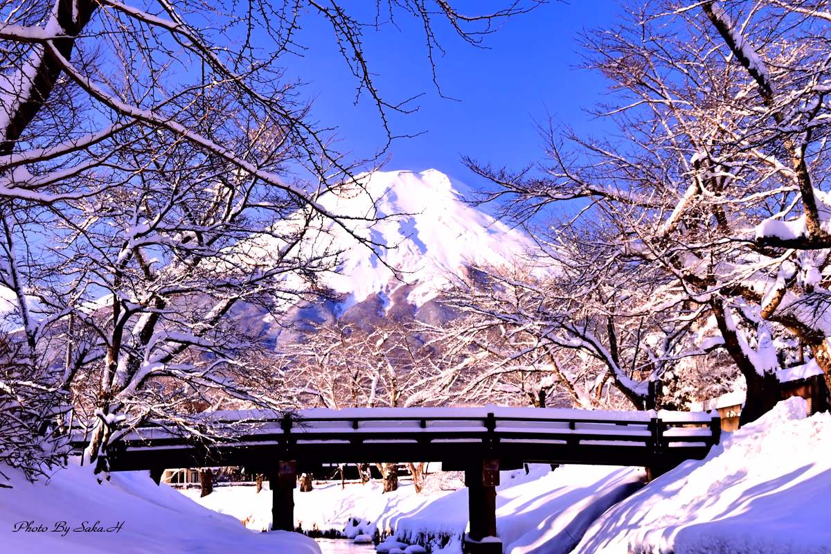 投稿写真：忍野の冬