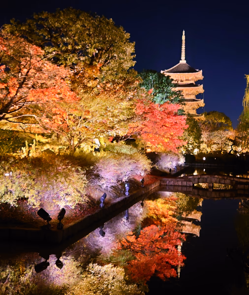 投稿写真：京都東寺のライトアップ