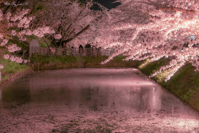  | 絶景事典