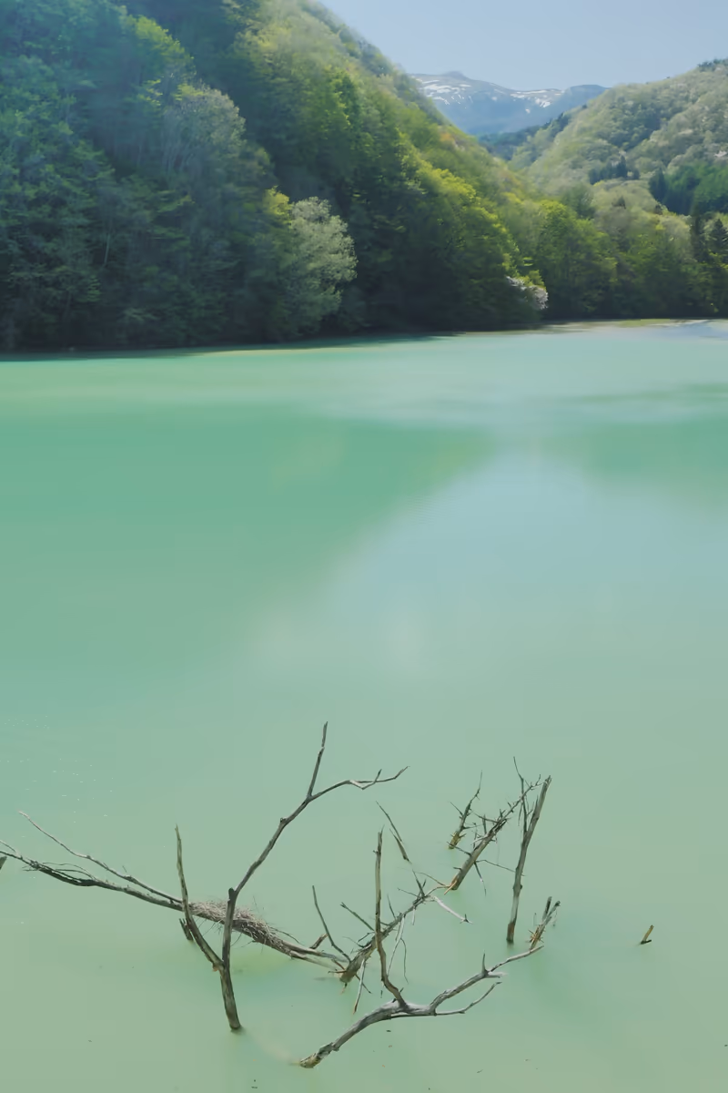 投稿写真：上州湯ノ湖