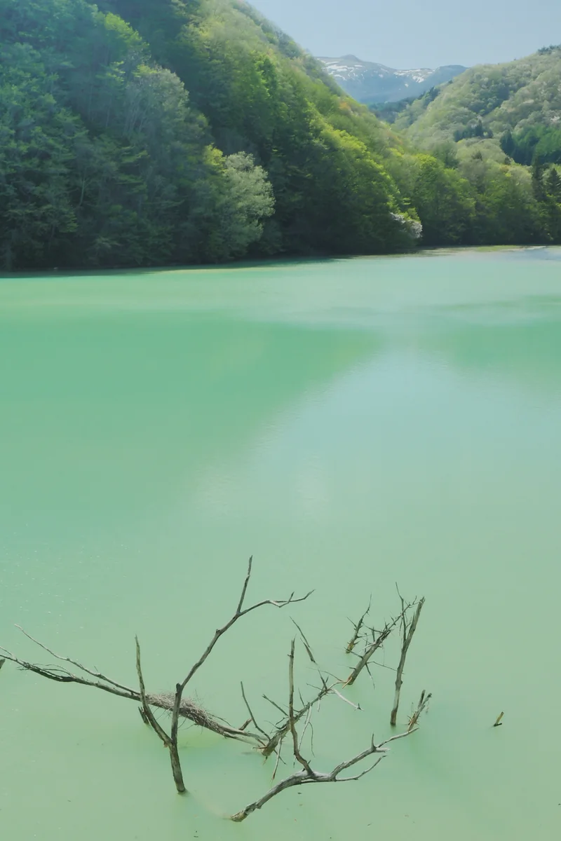 投稿写真：上州湯ノ湖