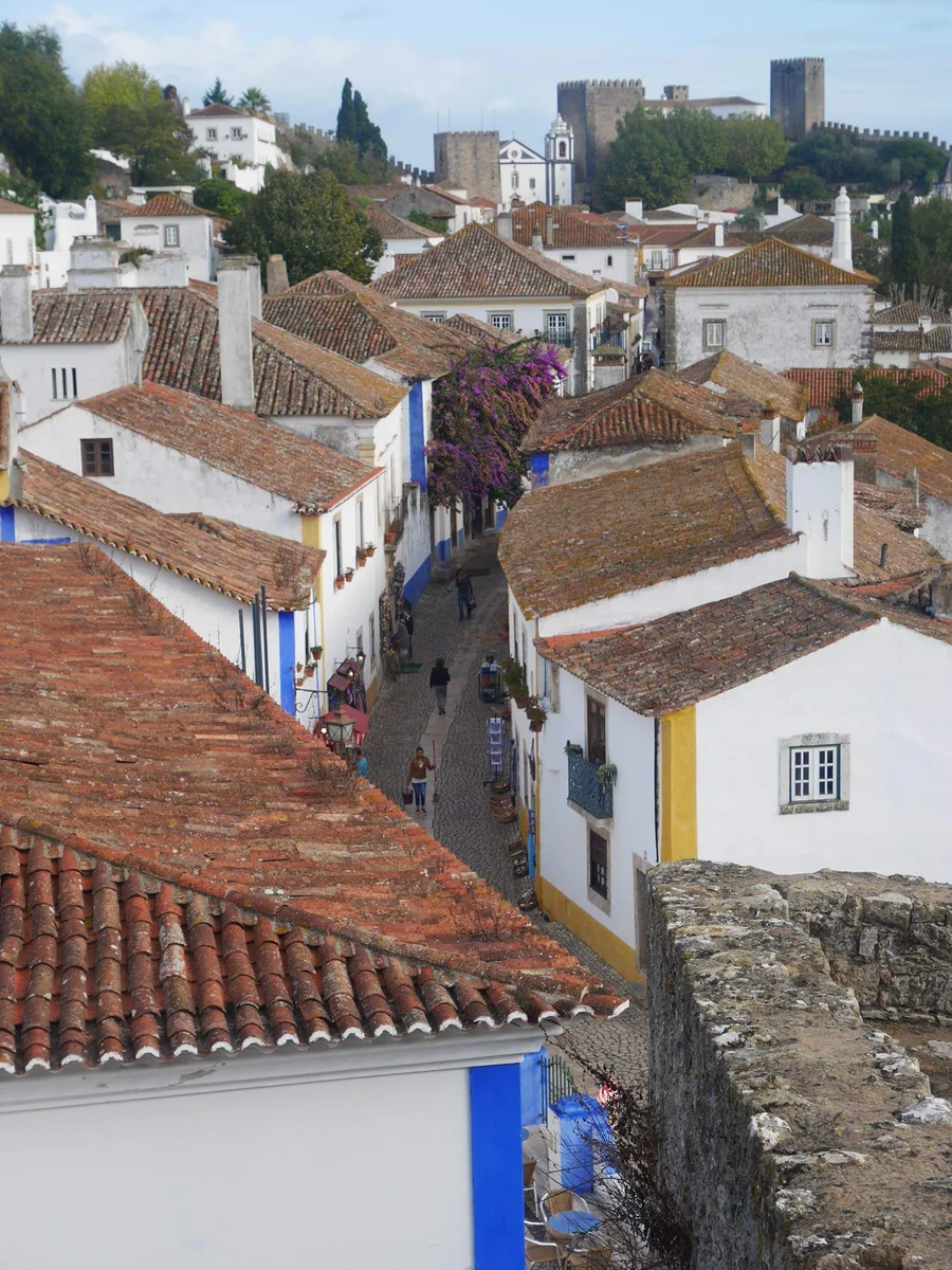 投稿写真：オビドス