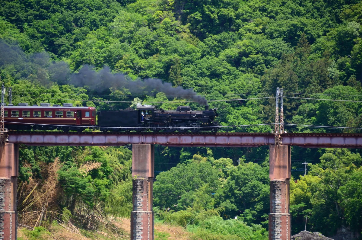 投稿写真：秩父鉄道　バイオエクスプレス
