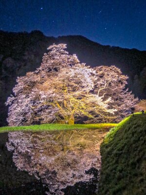  | 絶景事典