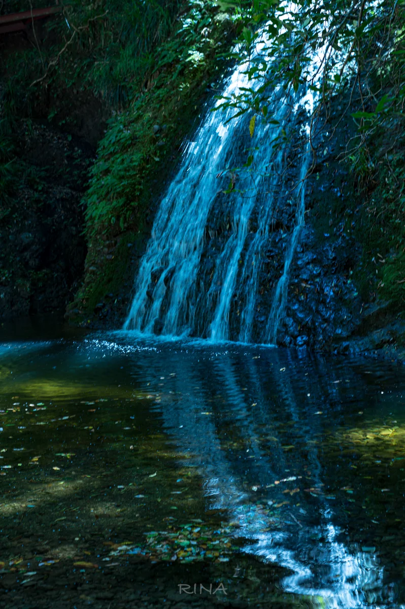 投稿写真：阿寺の七滝