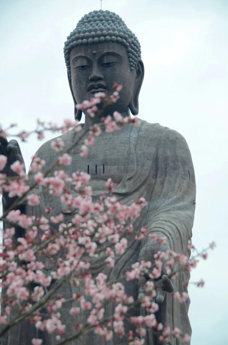 投稿写真：牛久大仏