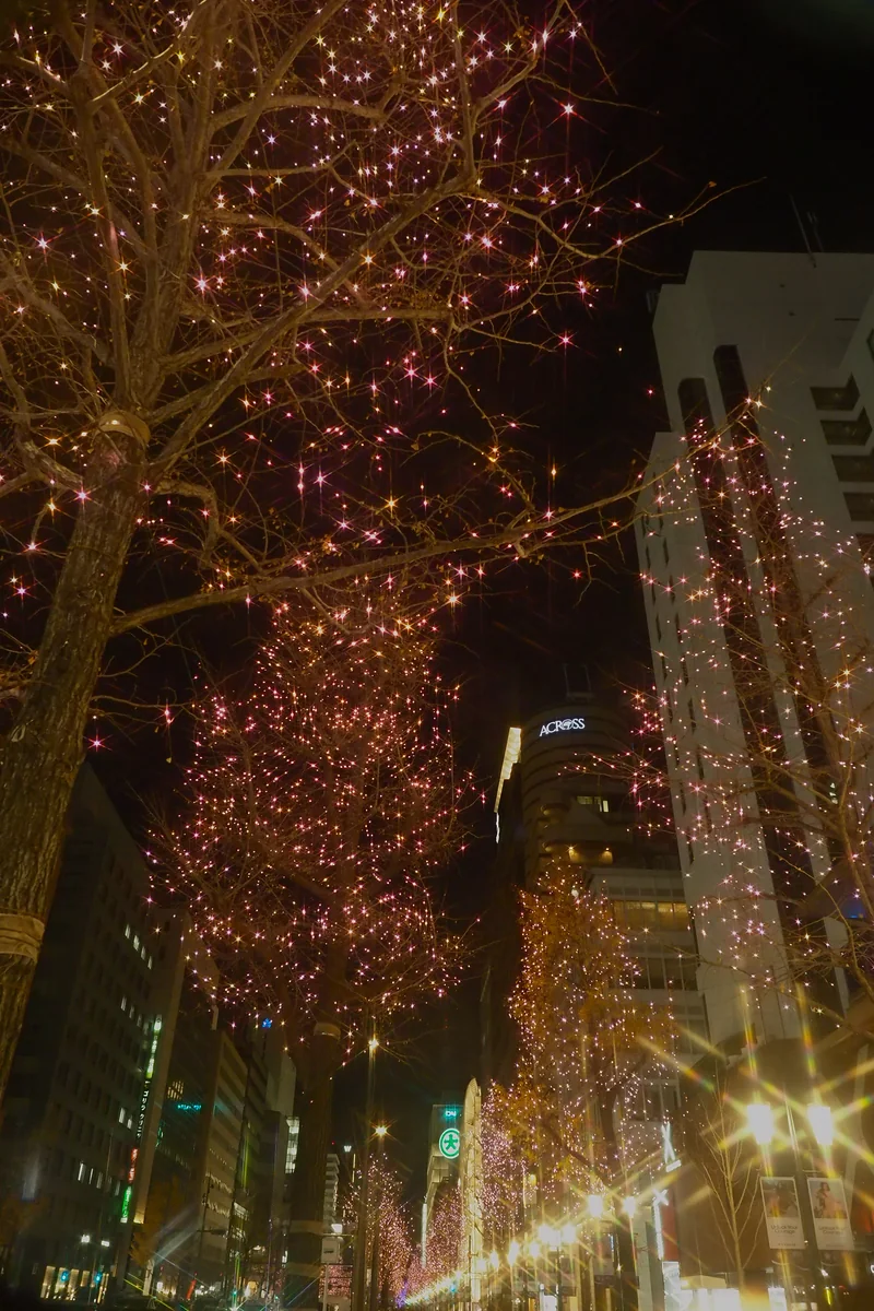 投稿写真：御堂筋　イルミネーション