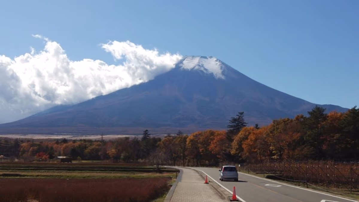 投稿写真：富士へ続く道　花の都公園
