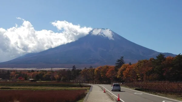 投稿：富士へ続く道　花の都公園