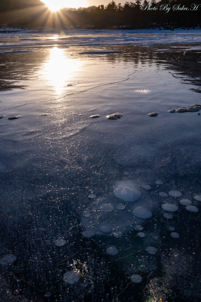 投稿写真：氷の造形美