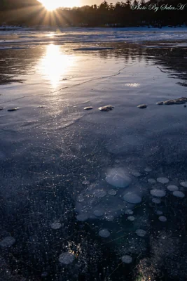 投稿：氷の造形美