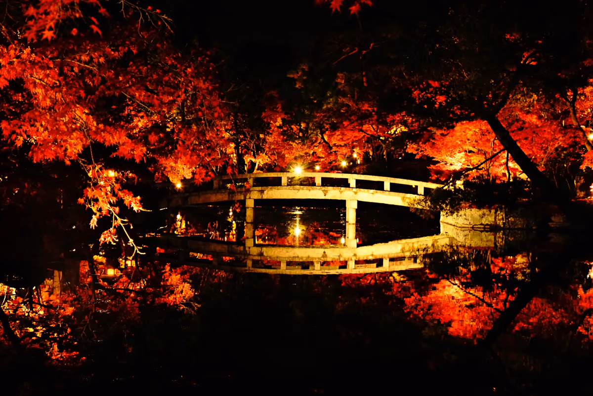 投稿写真：対称。