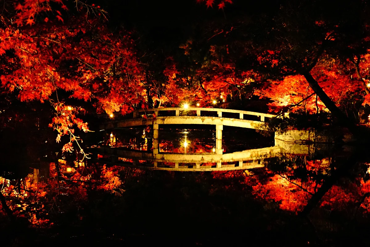 投稿写真：対称。