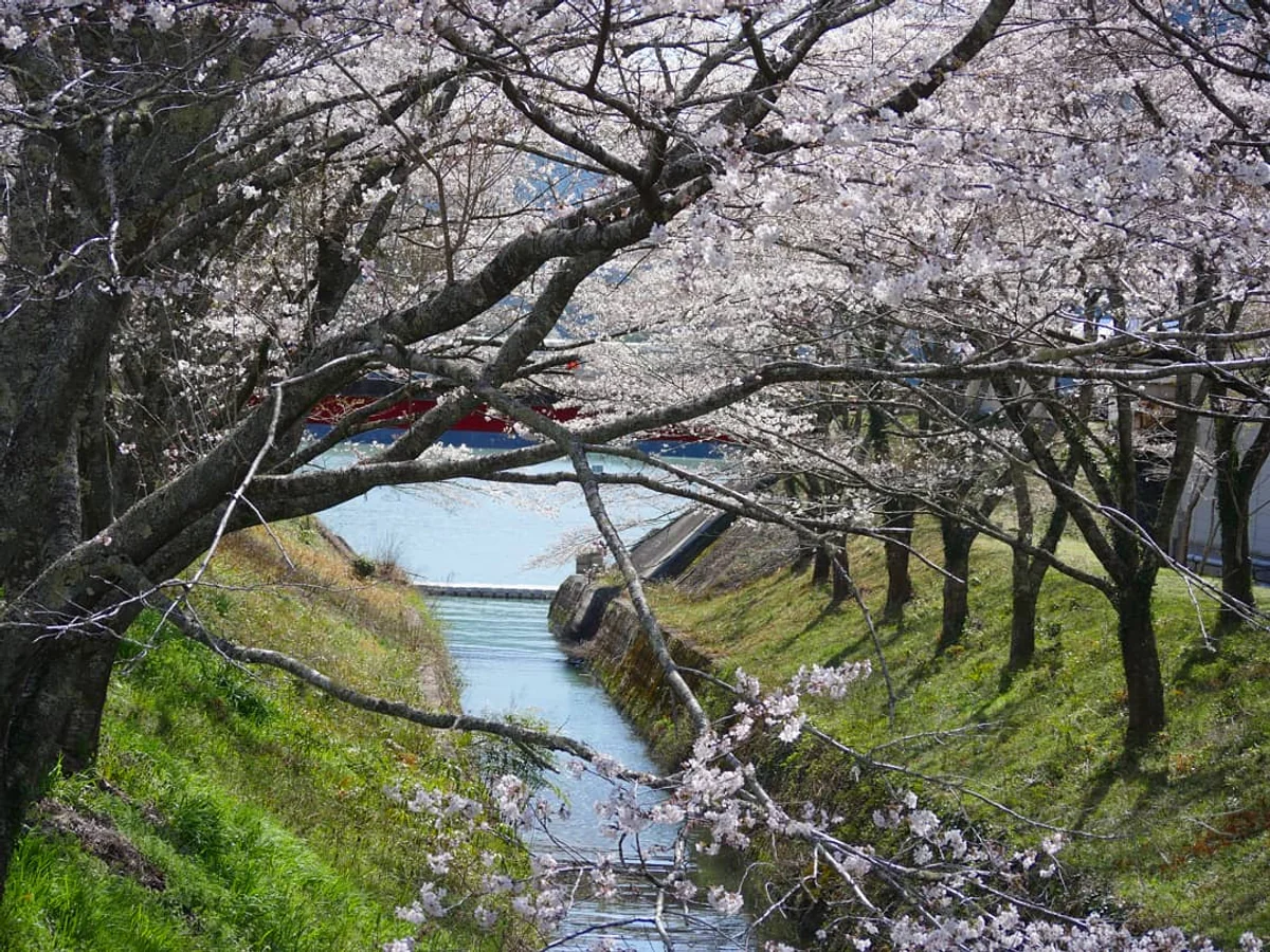 投稿写真：３月の天竜川ボートコース