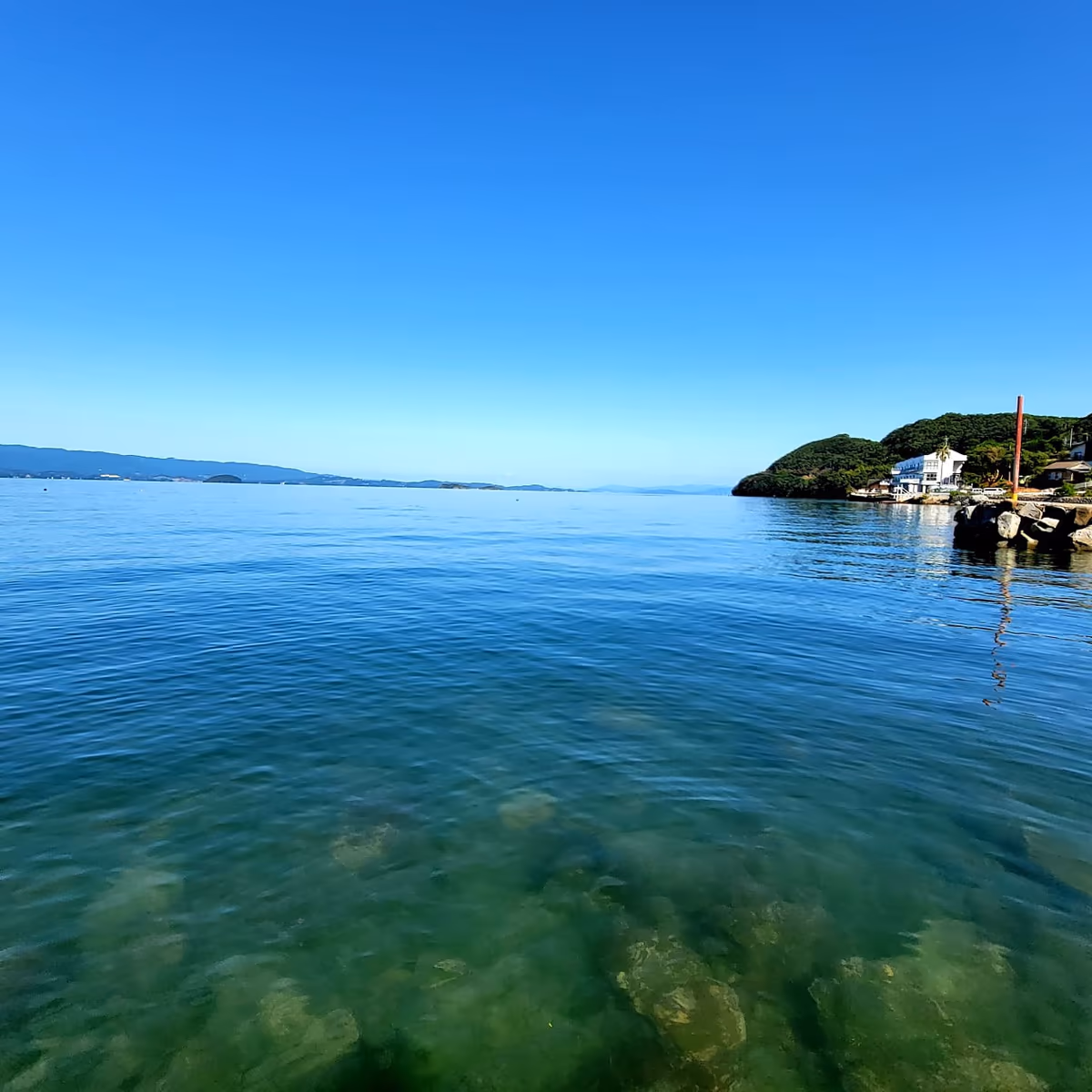 投稿写真：お魚も泳いでたらバレちゃうね🐟️