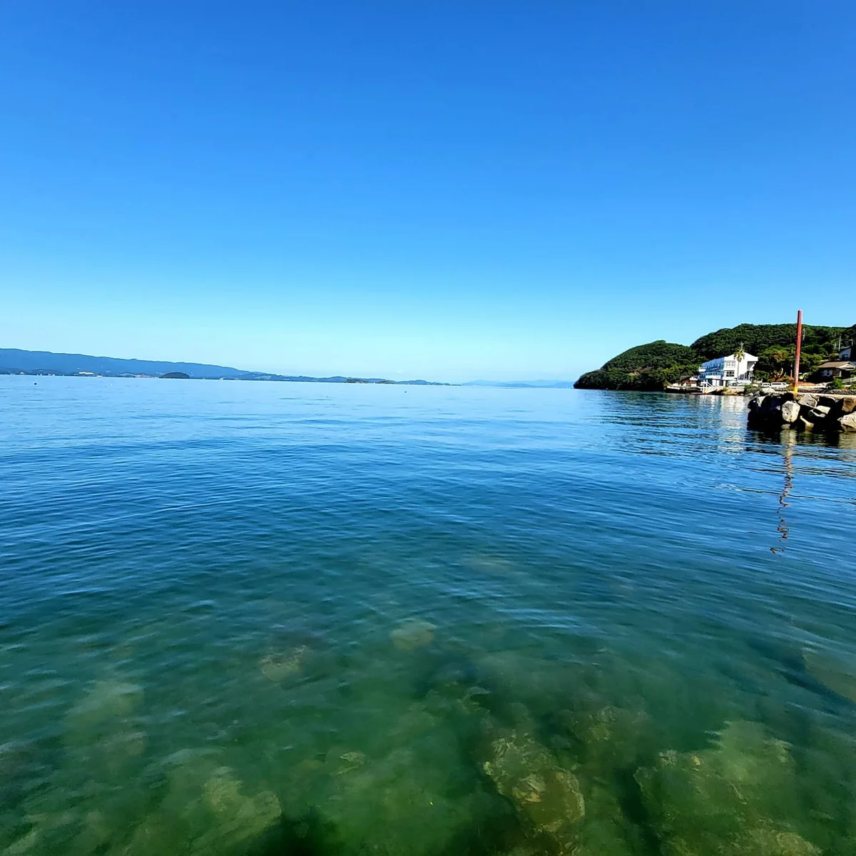 投稿写真：お魚も泳いでたらバレちゃうね🐟️