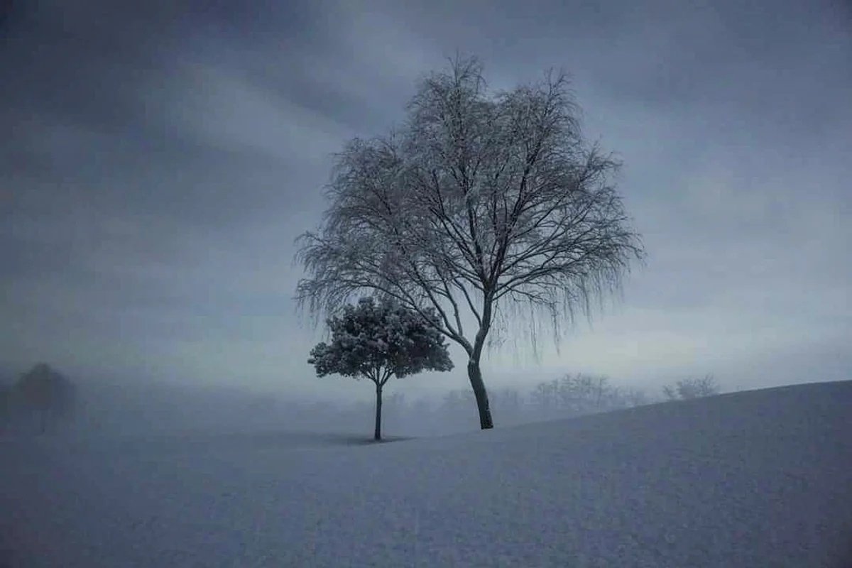 投稿写真：姉妹