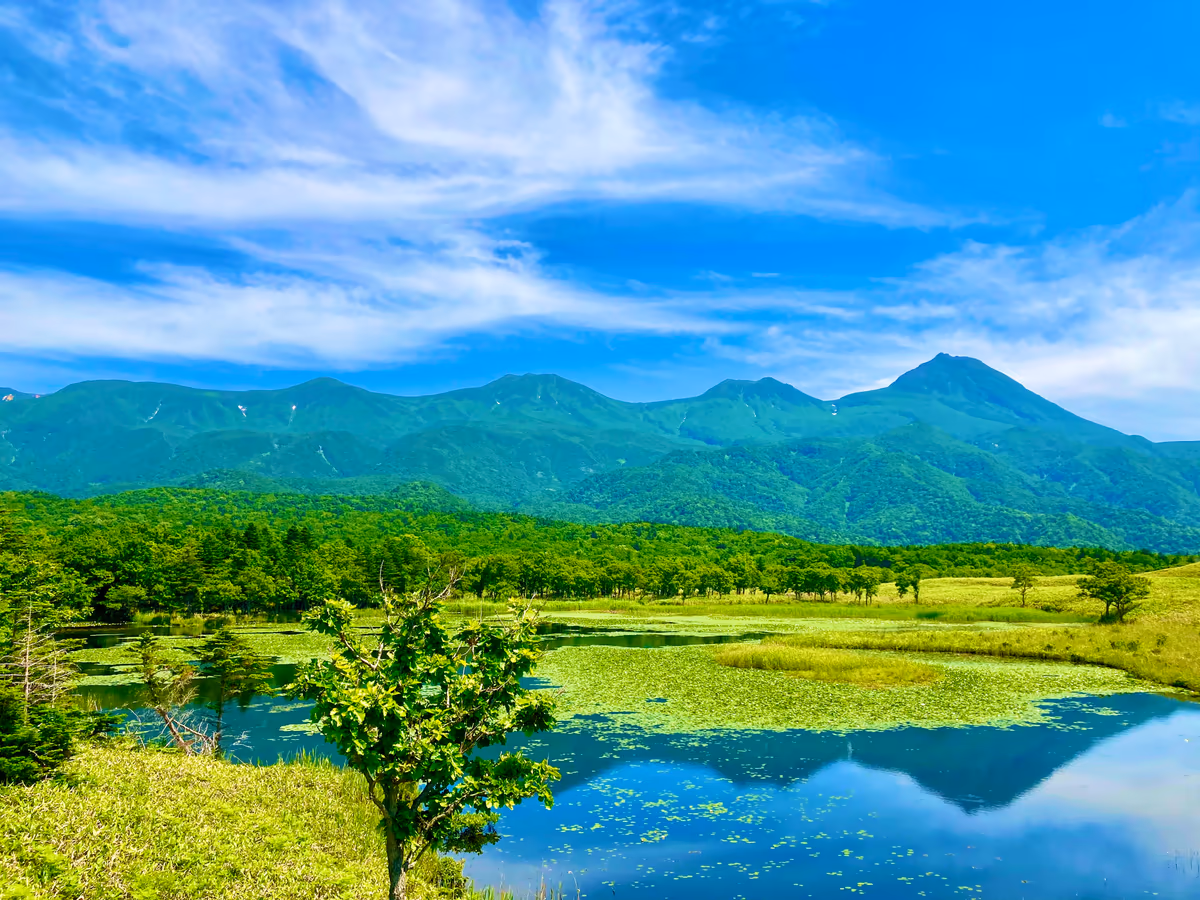 投稿写真：夏の知床連山