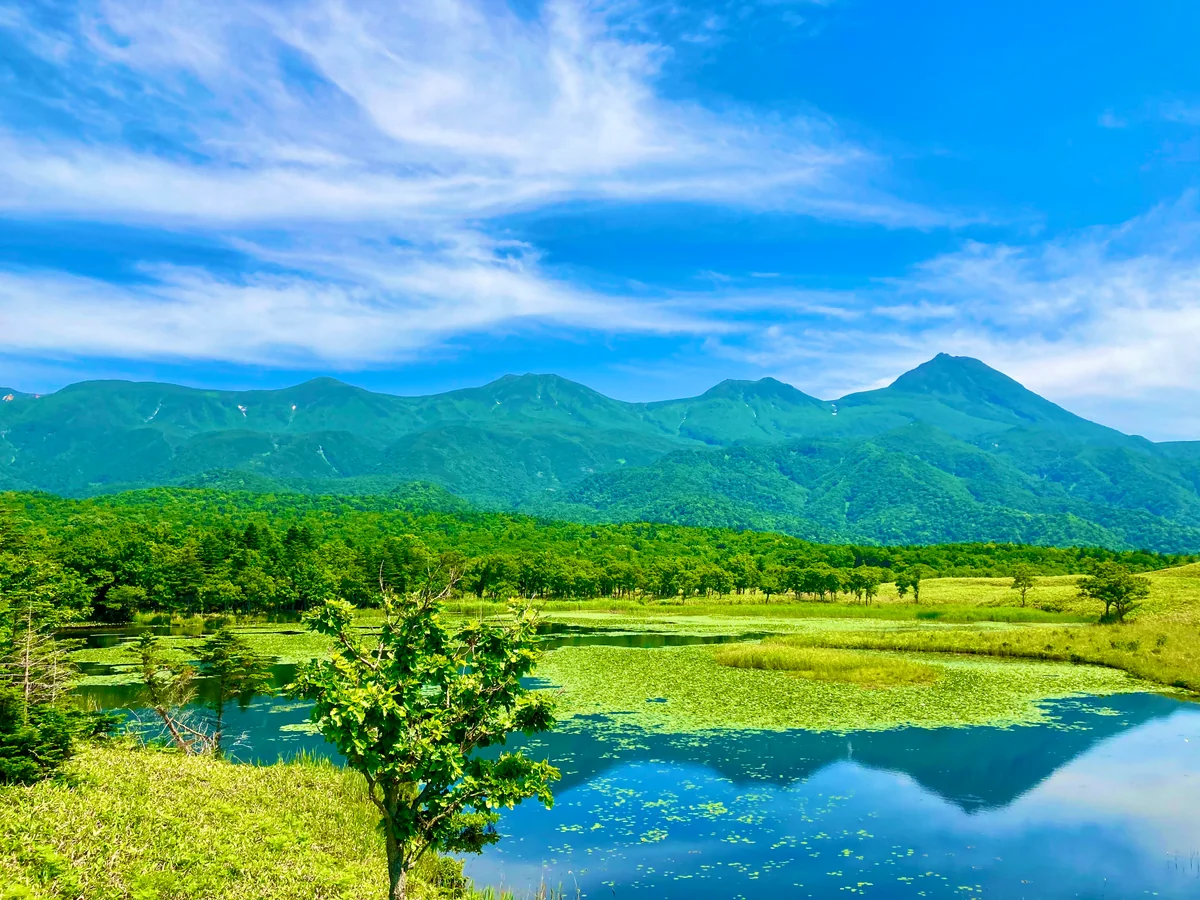 投稿写真：夏の知床連山
