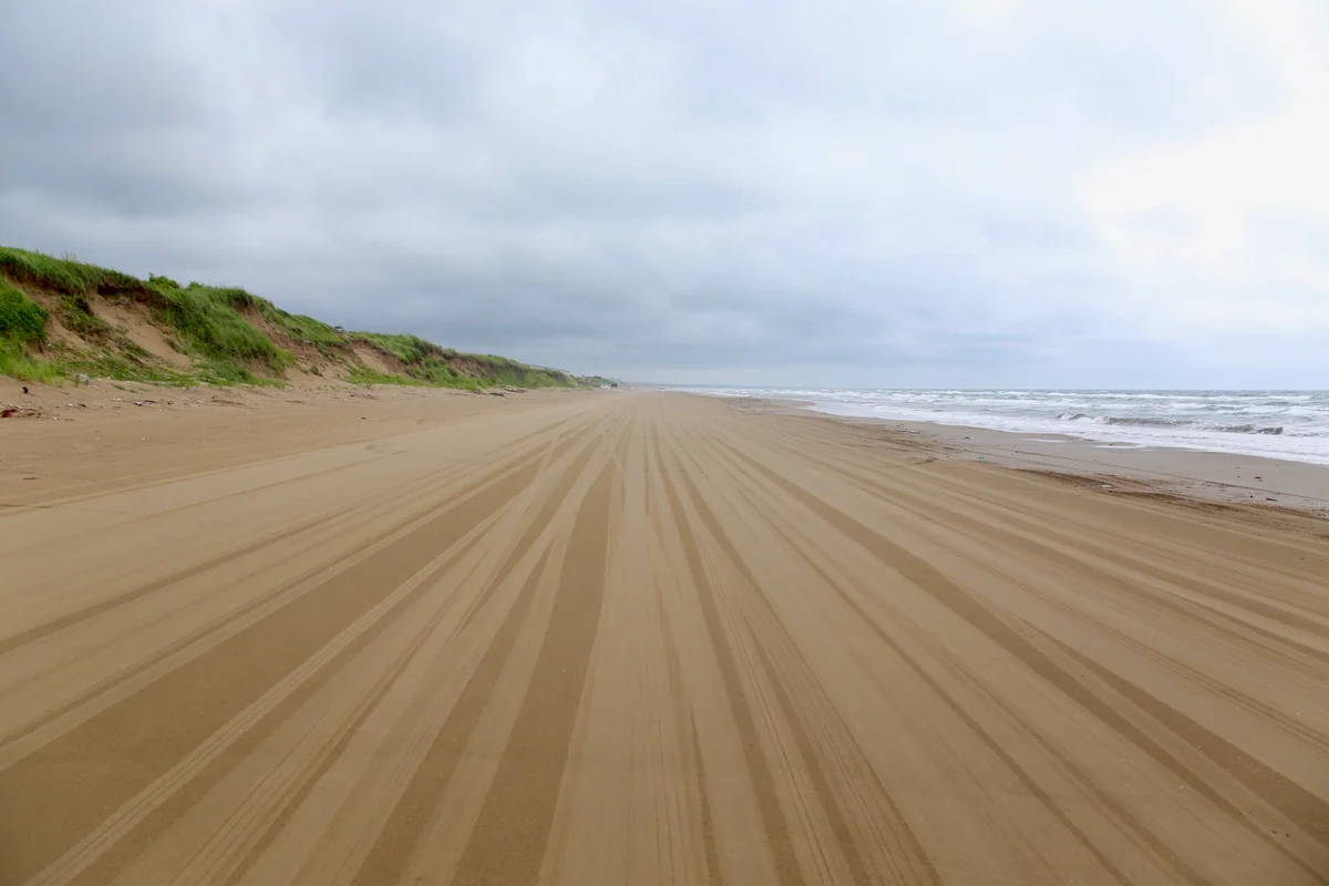 投稿写真：千里浜なぎさドライブウェイ