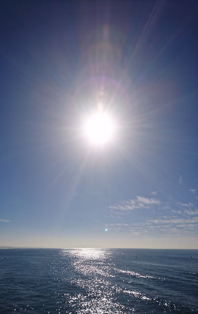 投稿写真：The Pacific from SANTA MONICA