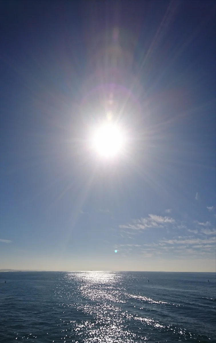 投稿写真：The Pacific from SANTA MONICA