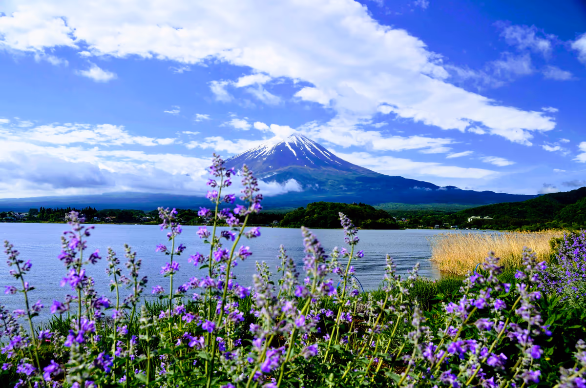 投稿写真：富士　河口湖畔にて