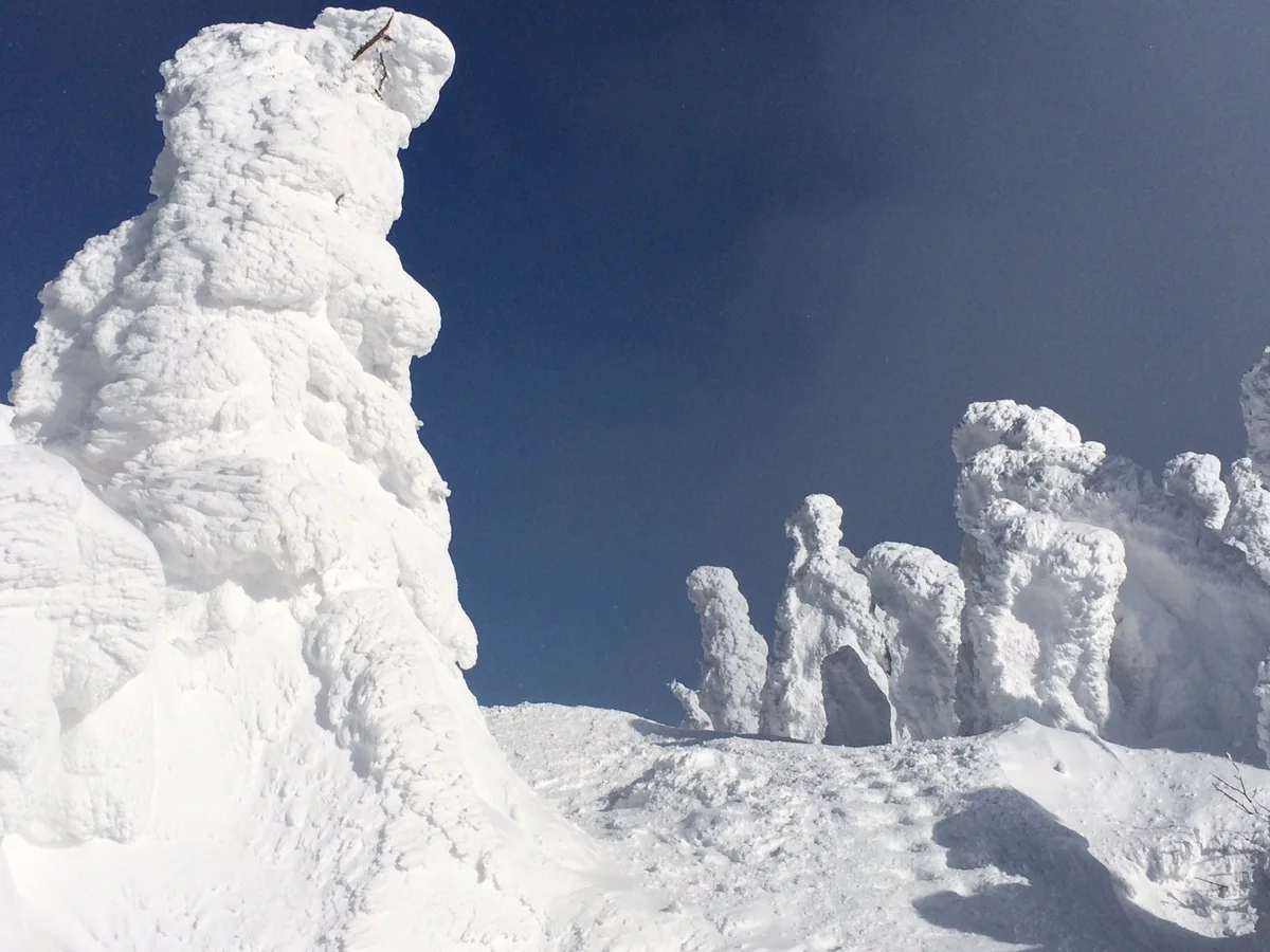 投稿写真：八甲田山のモンスター